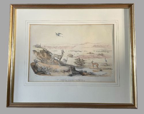 fig 1. A Rare Set of 24 Framed Lithographs of Wild Game and Animals 1840