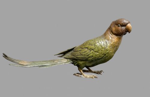 Franz Bergman - Cold Painted Bronze Parakeet