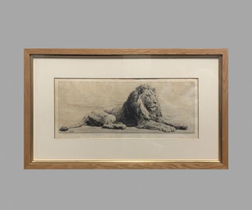 fig 1. Herbert Dicksee Fabulous Pair of Etching's Lion and Lioness