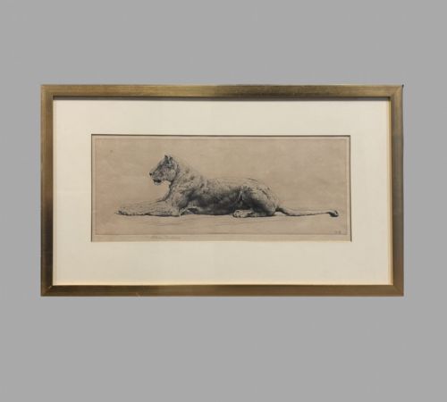 fig 2. Herbert Dicksee Fabulous Pair of Etching's Lion and Lioness