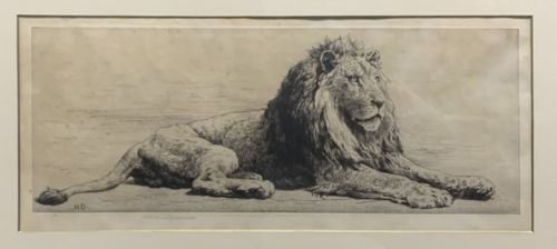 fig 3. Herbert Dicksee Fabulous Pair of Etching's Lion and Lioness