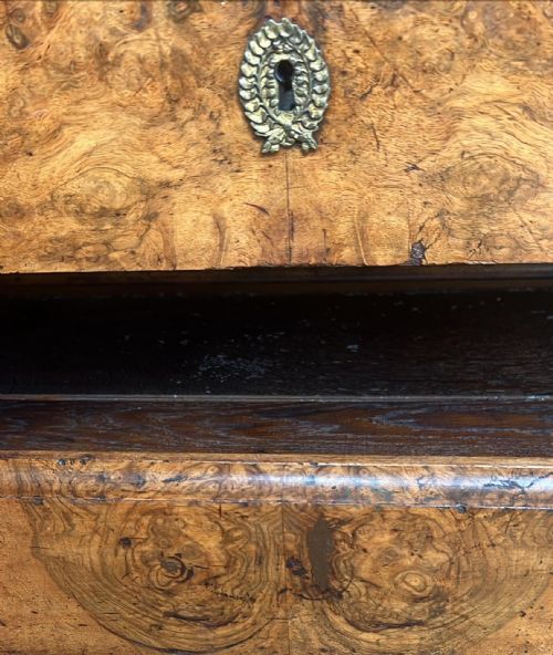 A 19THC FRENCH LOUIS PHILLIPE ERA BURR WALNUT COMMODE - ADDITIONAL PHOTO 9