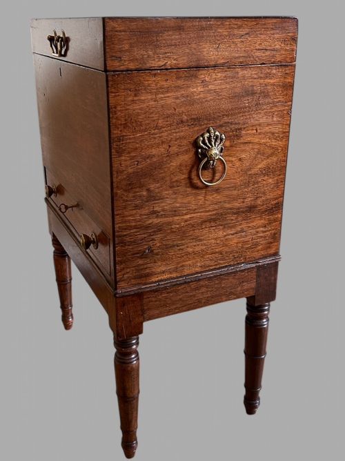 AN ATTRACTIVE GEORGIAN MAHOGANY WINECELLARETTE HOLDER - ADDITIONAL PHOTO 1
