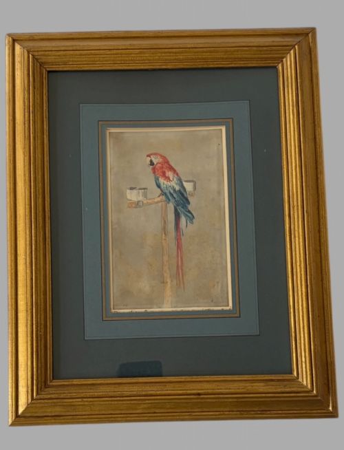 William Andrews Nesfield (1793–1881) “Mother Faux’s Macaw, Farnley Hall”