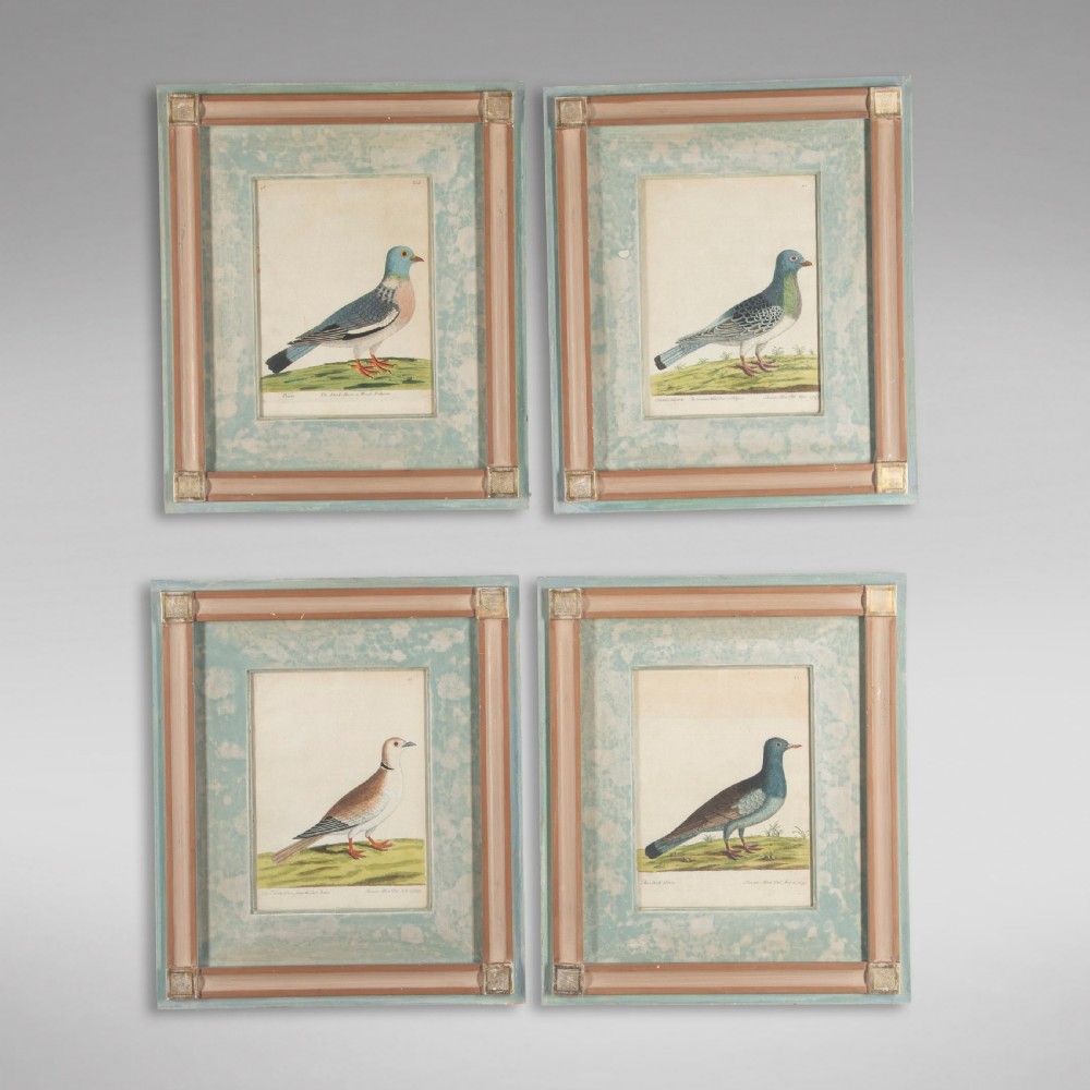 Set of Four Dove Coloured Engravings by Eleazar Albin 19thc