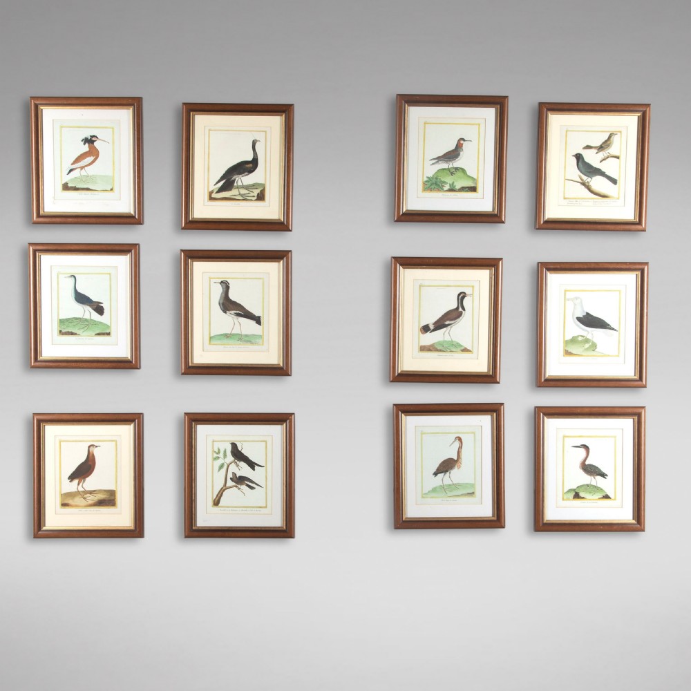 Set of Twelve Bird Hand Coloured Engravings by Martinet