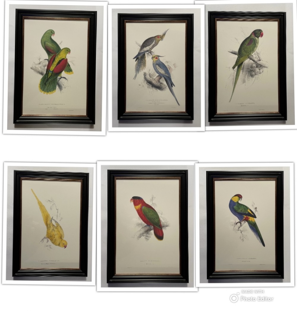 Edward Lear - A Superb Set of Six Hand Coloured Lithographs of Parrots (H)