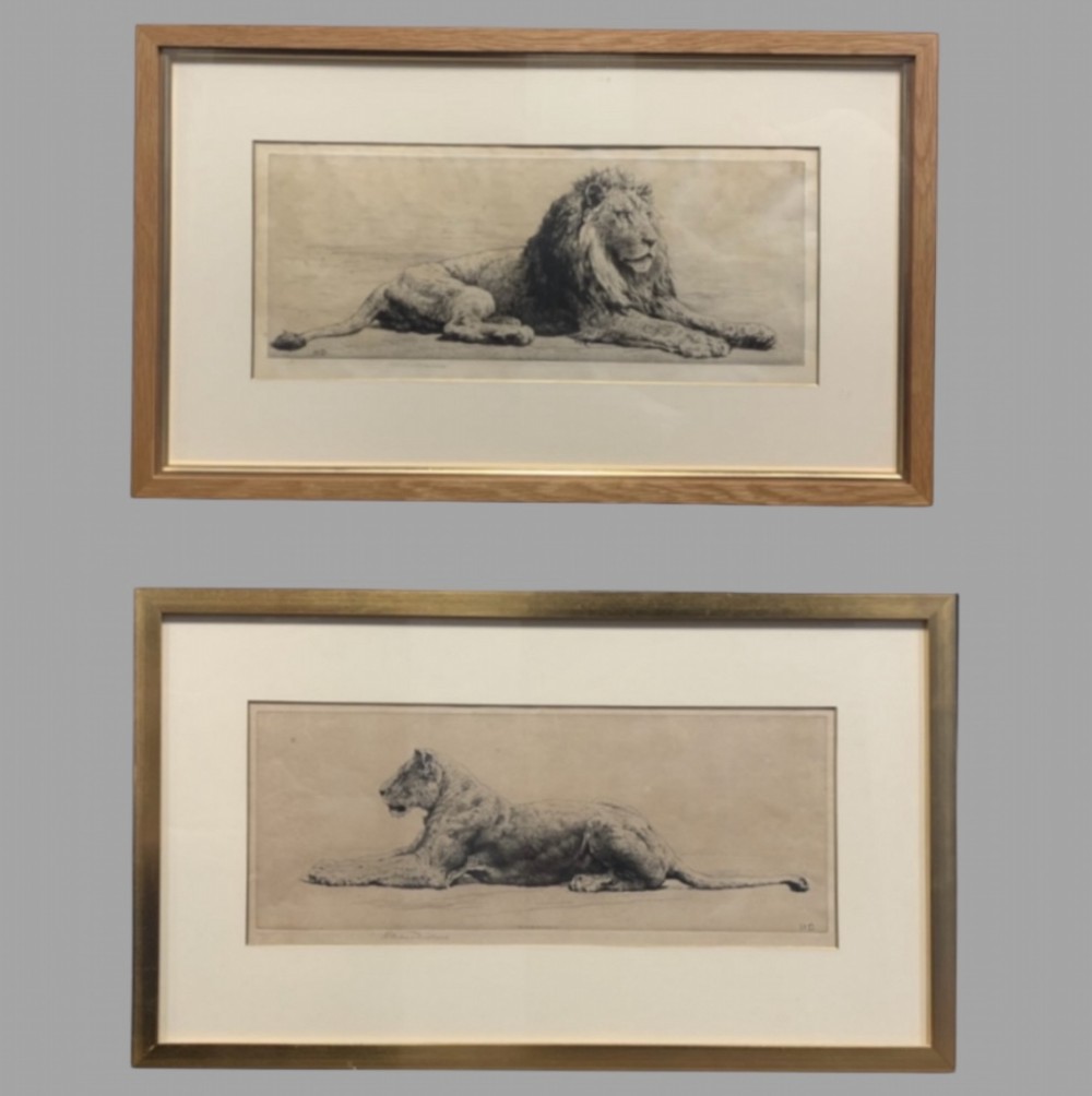 Herbert Dicksee Fabulous Pair of Etching's Lion and Lioness