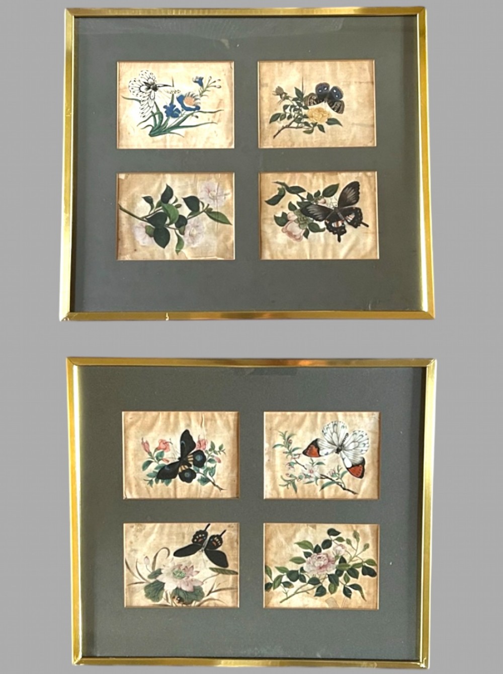 A Pair of Highly Decorative 19thc Pith Piper Butterflies and Flowers (8)