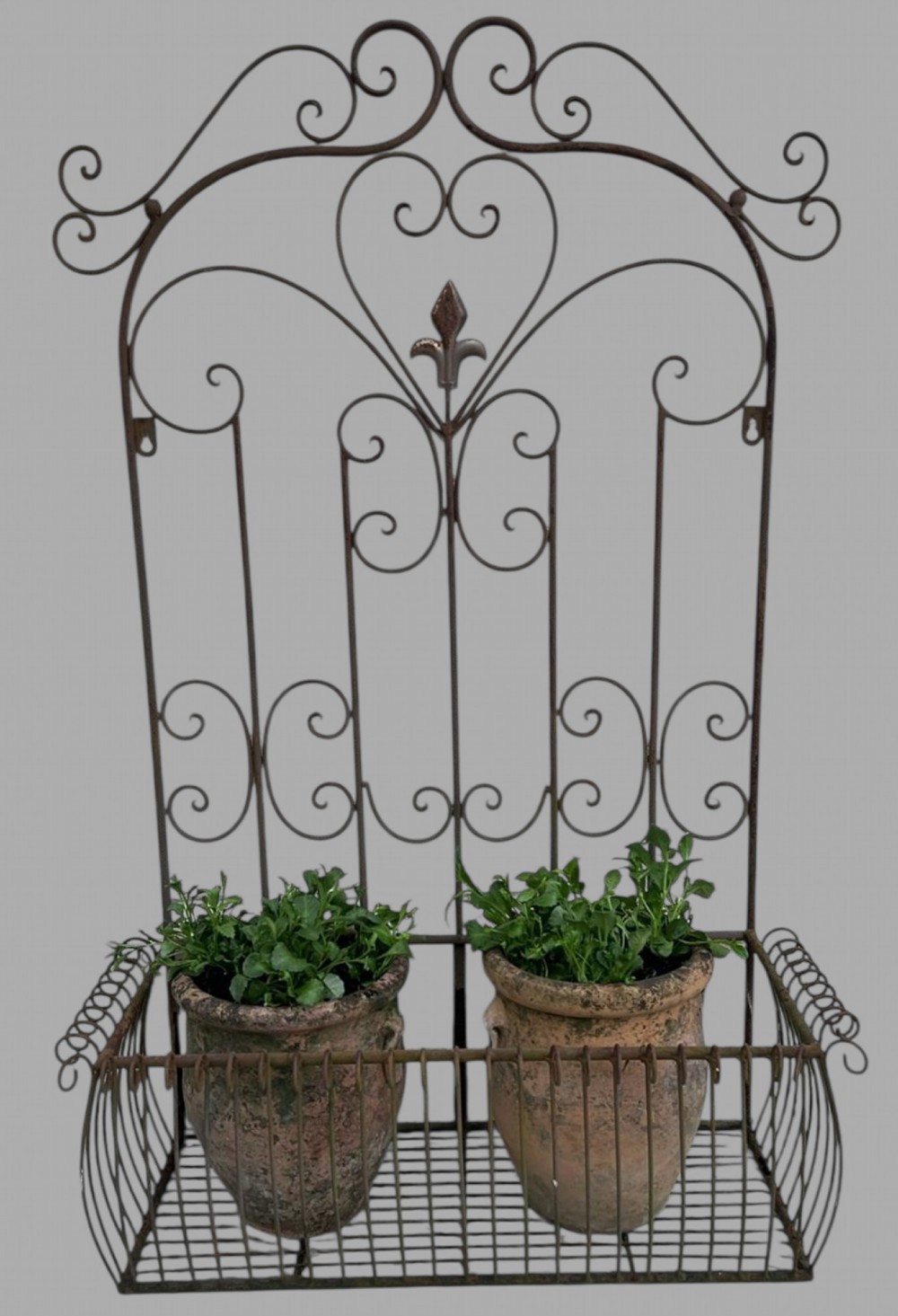 A French Vintage Wrought Iron Planter with Two 19thc Terracotta pots