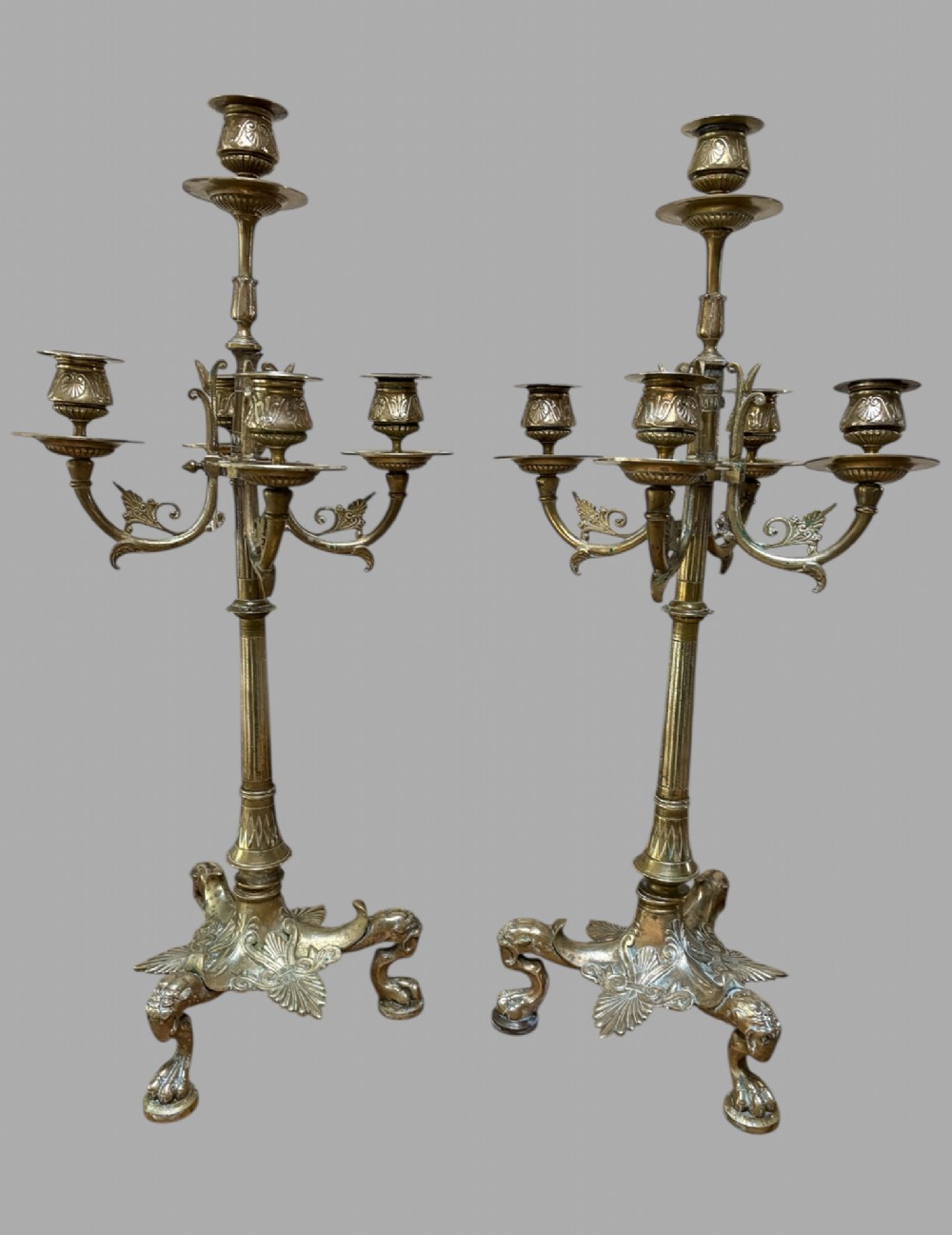 A pair of multi-branch antique brass candelabra featuring ornate scroll arms, foliate decoration, and triform bases resting on claw feet.