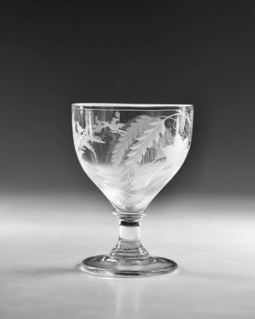 A clear glass Georgian rummer goblet featuring wheel-engraved botanical fern and bird motifs above a short knopped stem and circular base. View IV