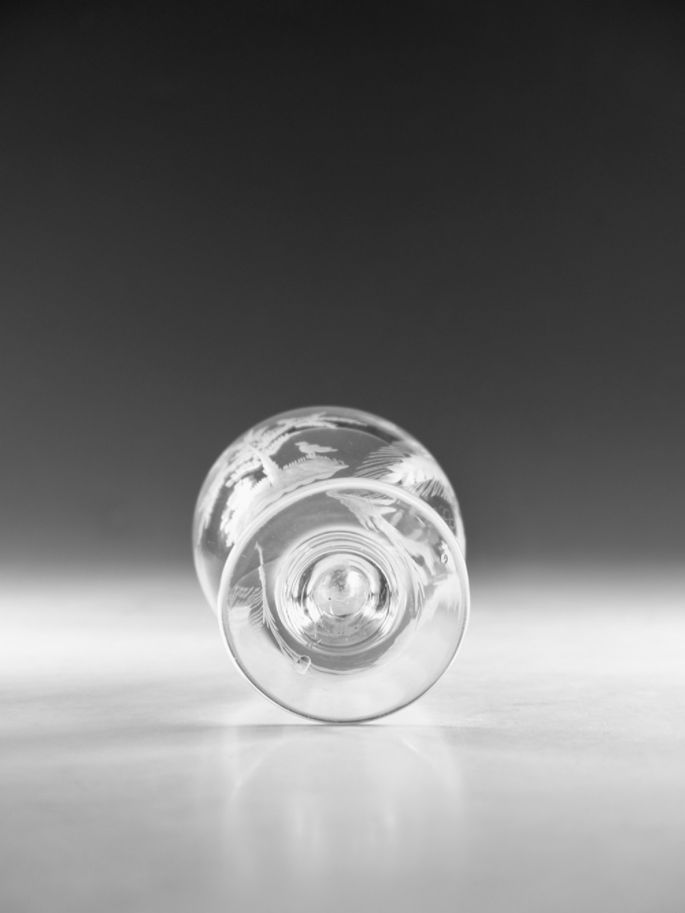 A clear glass Georgian rummer goblet featuring wheel-engraved botanical fern and bird motifs above a short knopped stem and circular base. View IX