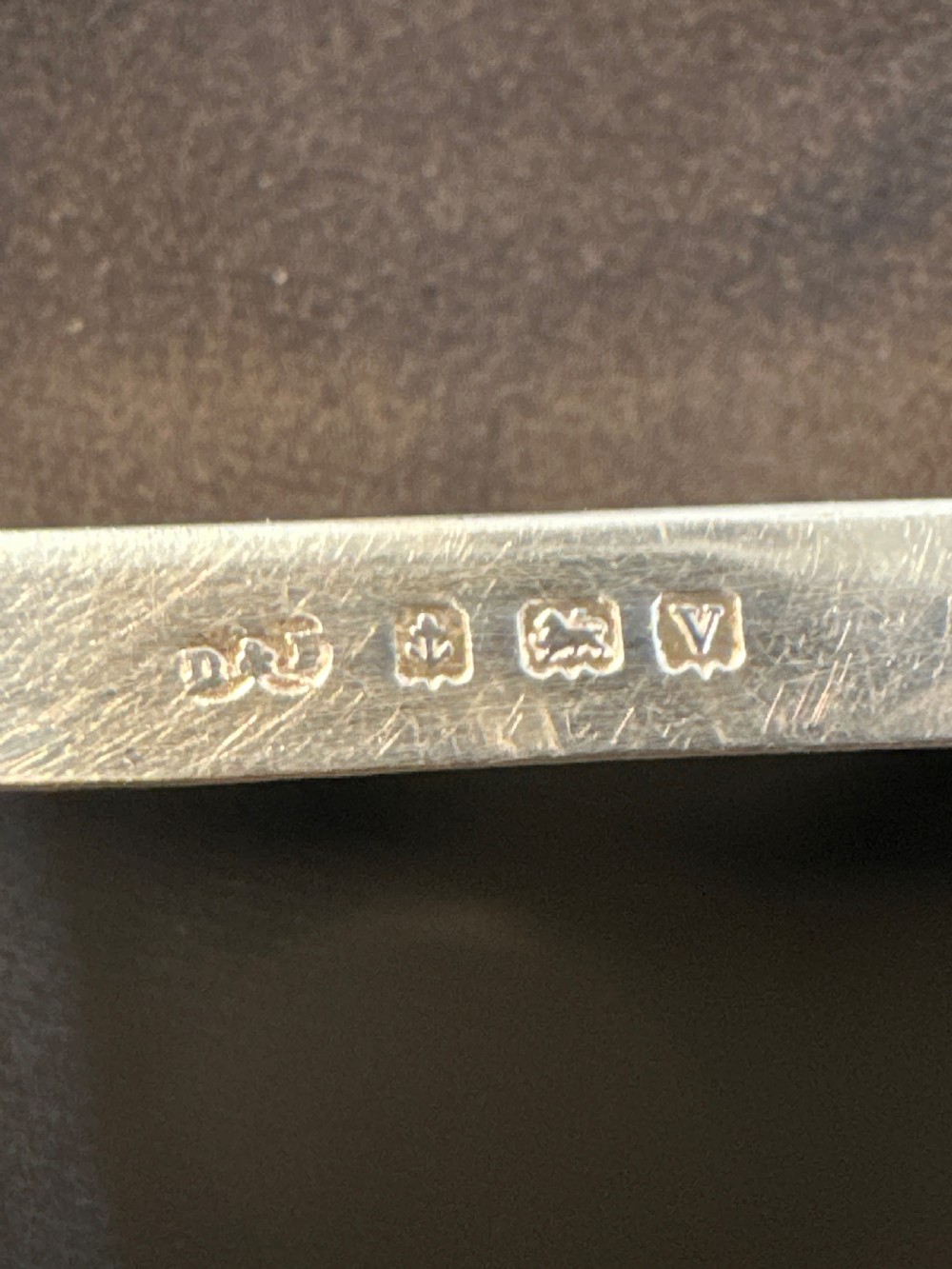 A rectangular silver vessel with a curved rim containing a light yellow natural sponge. View IV