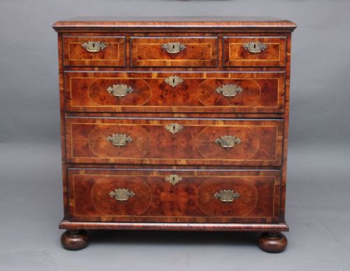 Oyster Wood Chest