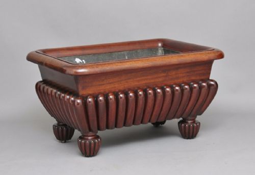 19th Century Mahogany Wine Cooler