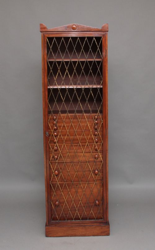 19th Century Mahogany Collectors Cabinet