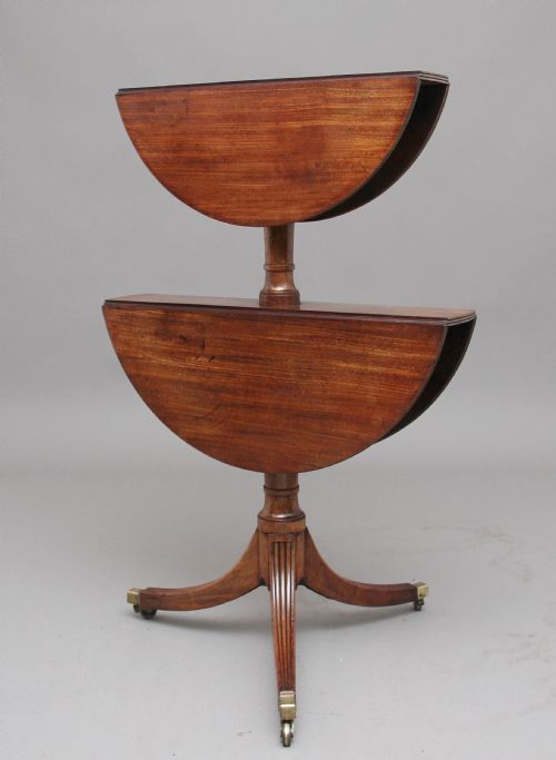 EARLY 19TH CENTURY MAHOGANY DUMBWAITER - ADDITIONAL PHOTO 3