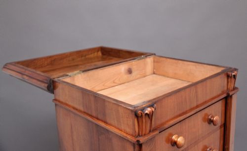 EARLY 19TH CENTURY ANTIQUE REGENCY WALNUT WELLINGTON CHEST - ADDITIONAL PHOTO 9