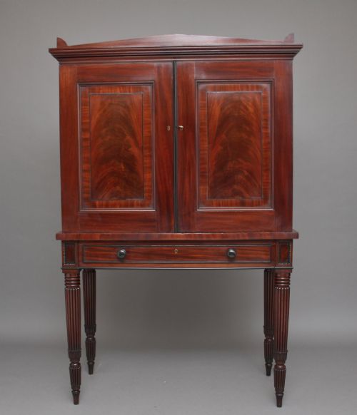 EARLY 19TH CENTURY MAHOGANY COLLECTORS CABINET