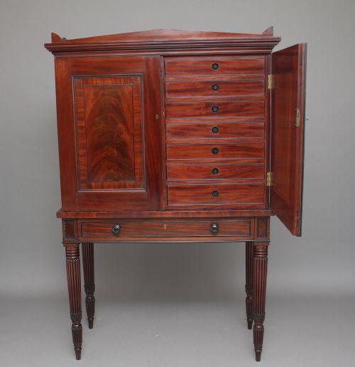 EARLY 19TH CENTURY MAHOGANY COLLECTORS CABINET - ADDITIONAL PHOTO 1