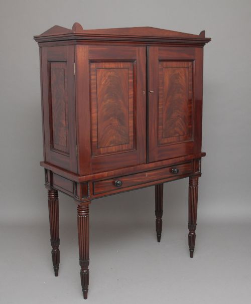 EARLY 19TH CENTURY MAHOGANY COLLECTORS CABINET - ADDITIONAL PHOTO 7