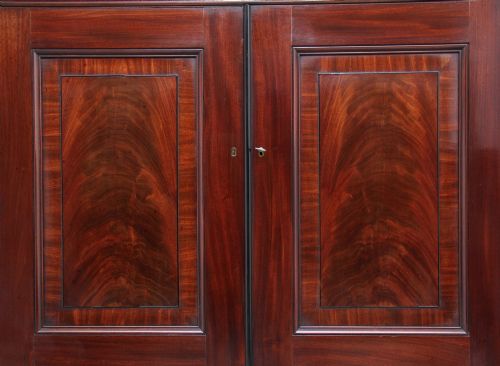 EARLY 19TH CENTURY MAHOGANY COLLECTORS CABINET - ADDITIONAL PHOTO 8