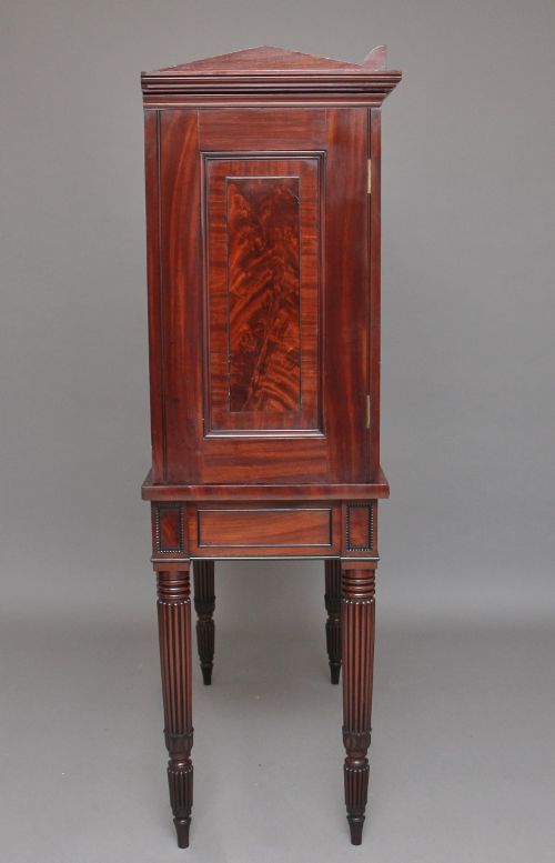 EARLY 19TH CENTURY MAHOGANY COLLECTORS CABINET - ADDITIONAL PHOTO 9