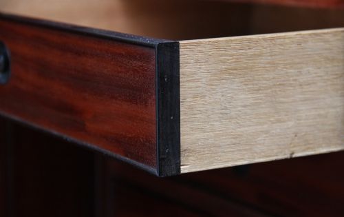 EARLY 19TH CENTURY MAHOGANY COLLECTORS CABINET - ADDITIONAL PHOTO 10