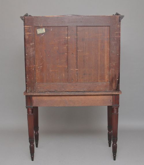 EARLY 19TH CENTURY MAHOGANY COLLECTORS CABINET - ADDITIONAL PHOTO 11