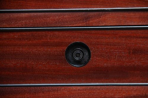 EARLY 19TH CENTURY MAHOGANY COLLECTORS CABINET - ADDITIONAL PHOTO 14