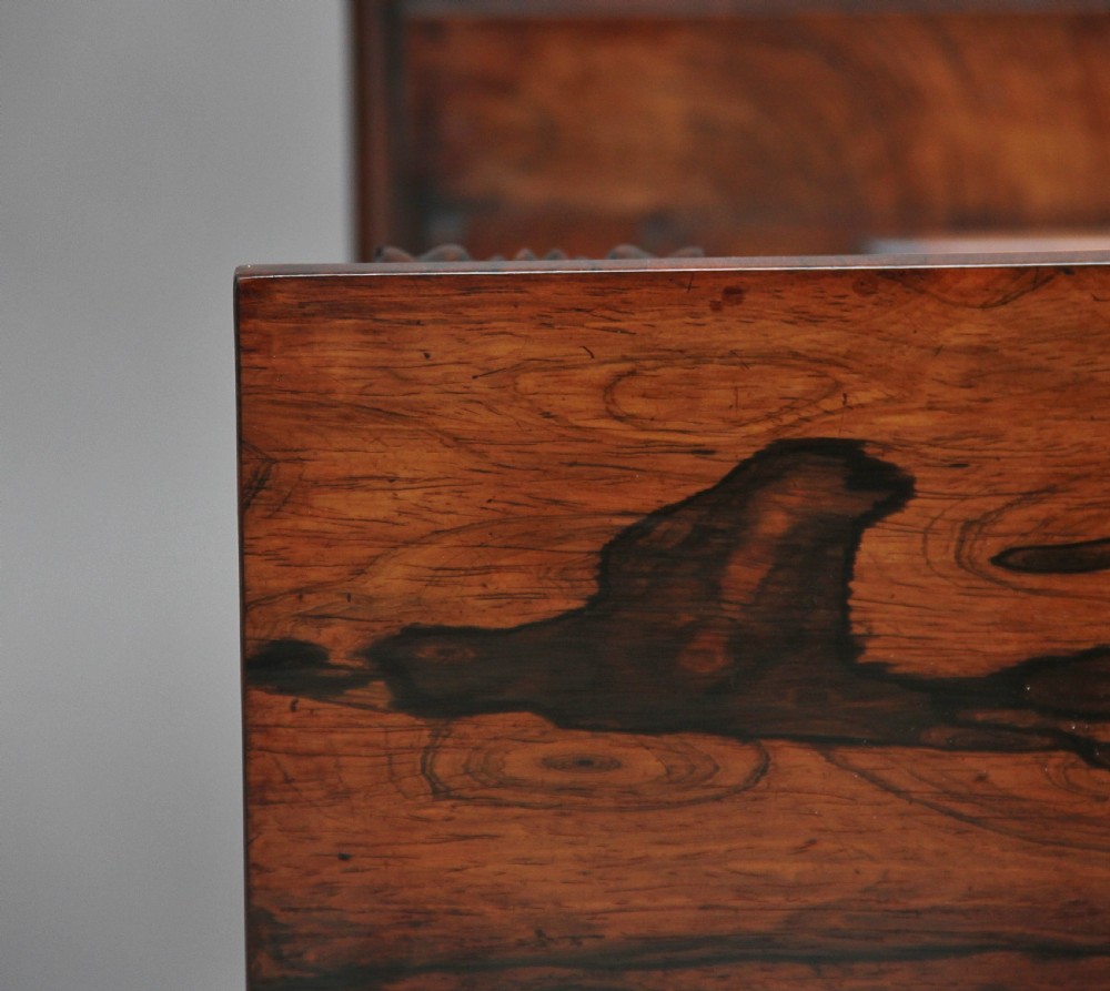 19th Century rosewood cabinet View VII
