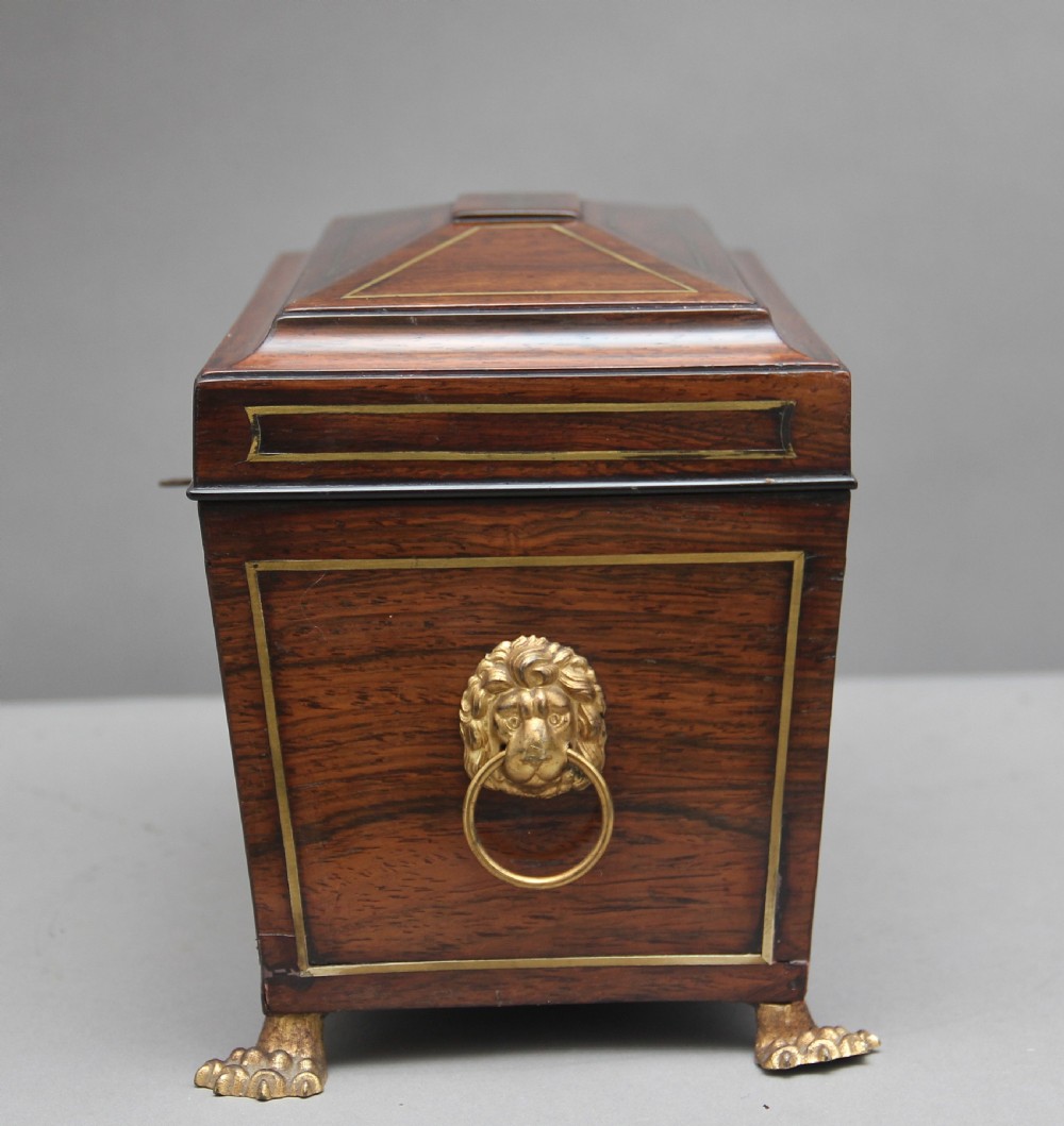 Early 19th Century rosewood tea caddy View VII