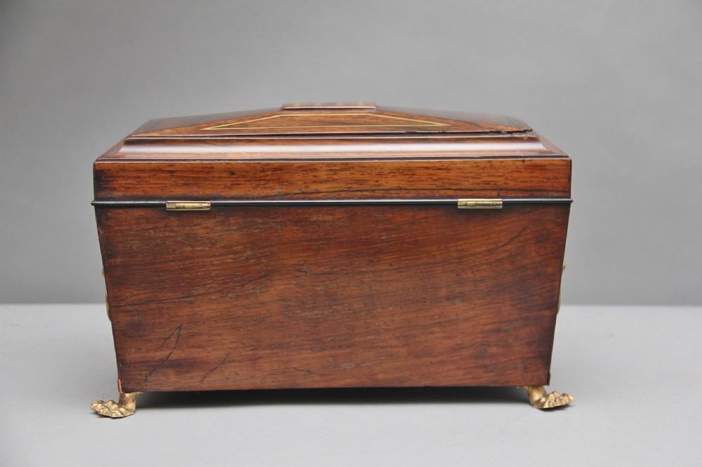 Early 19th Century rosewood tea caddy View VIII
