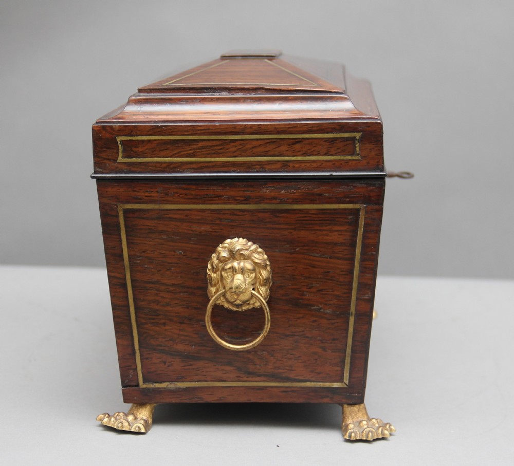 Early 19th Century rosewood tea caddy View IX