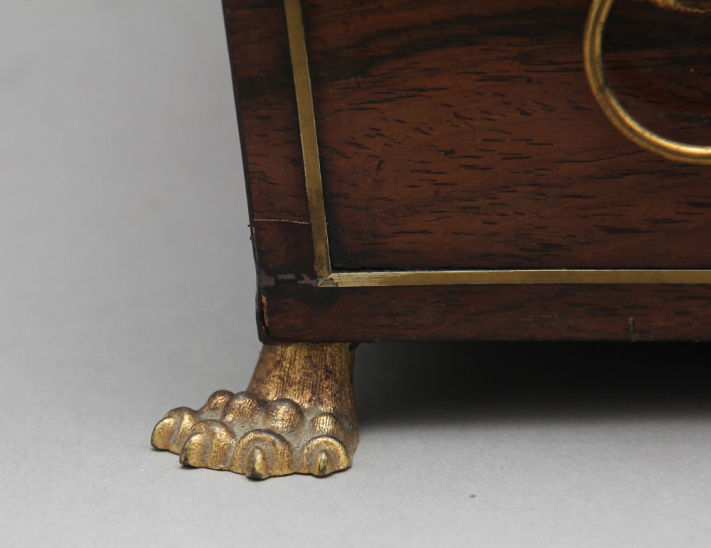 Early 19th Century rosewood tea caddy View XII