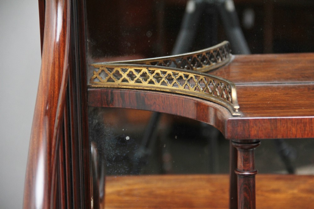 Early 19th Century rosewood cabinet View XIV
