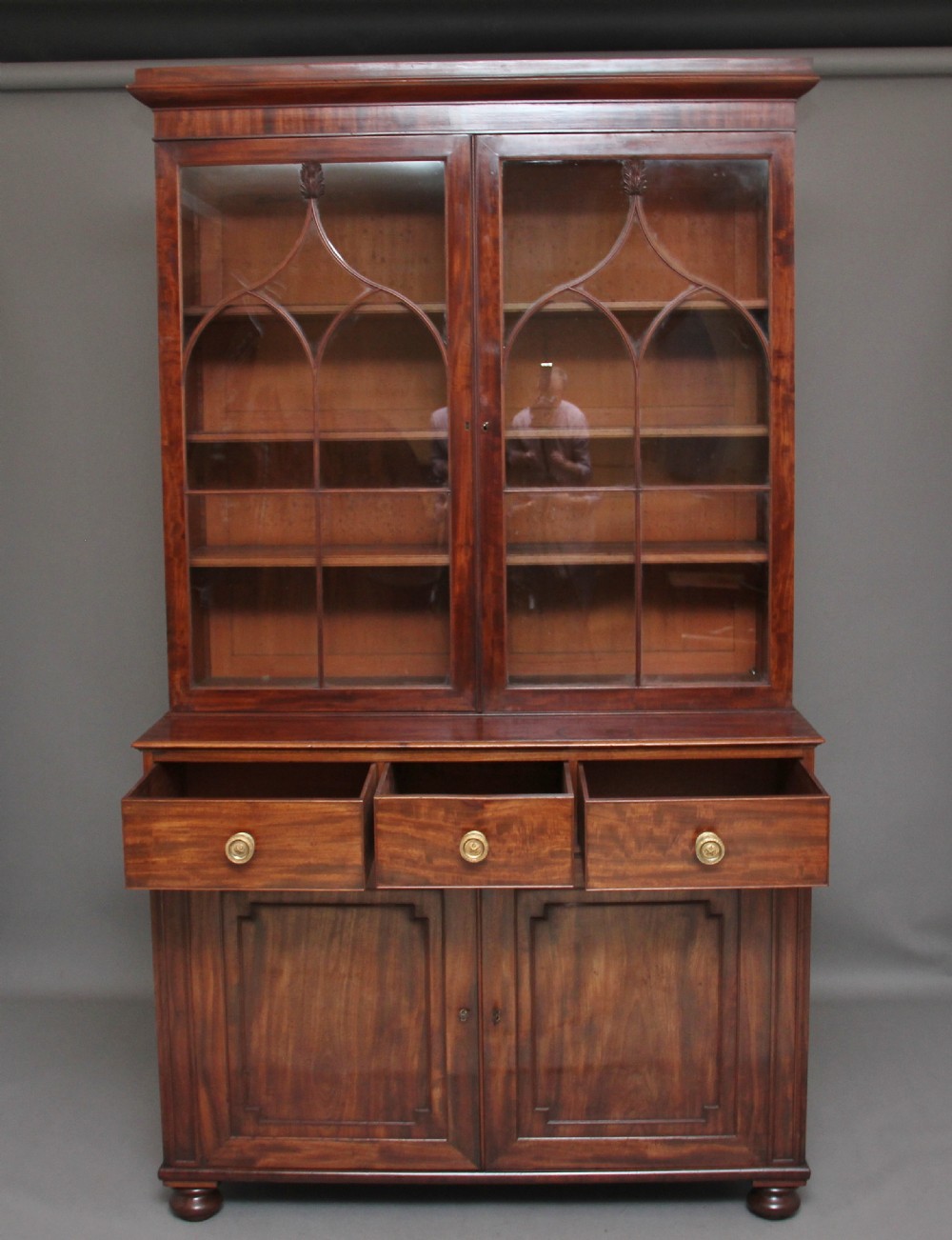 Early 19th Century mahogany bookcase View IV