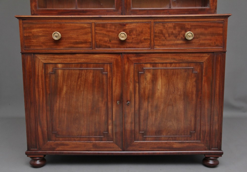 Early 19th Century mahogany bookcase View V