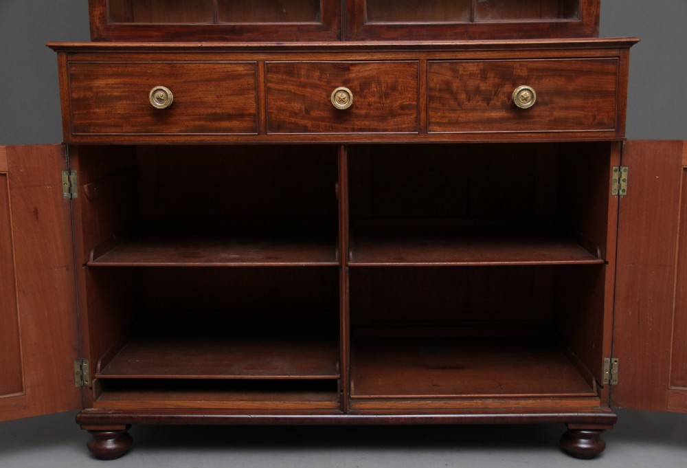 Early 19th Century mahogany bookcase View VI