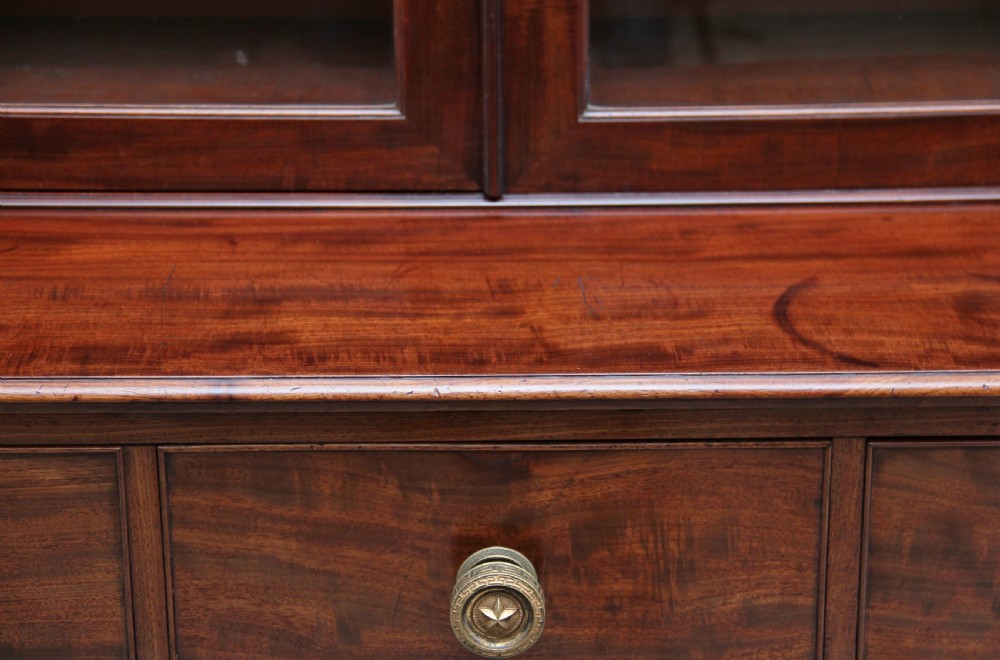 Early 19th Century mahogany bookcase View VIII