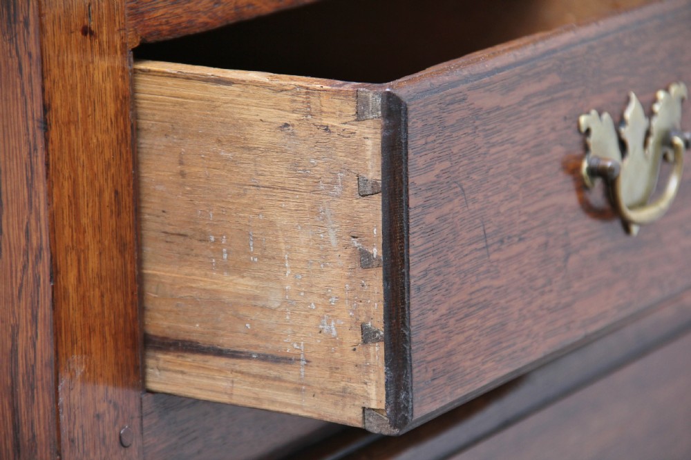 Early 19th Century oak food cupboard View X