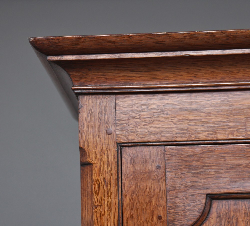 Early 19th Century oak food cupboard View XI