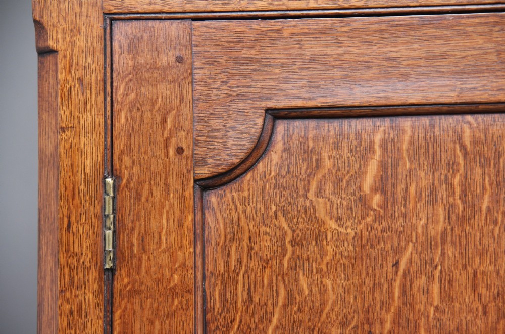 Early 19th Century oak food cupboard View XII