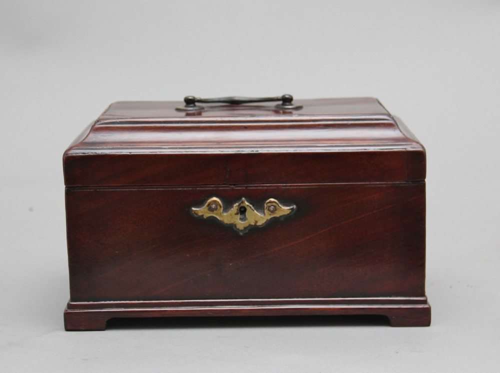18th Century mahogany tea caddy View IV