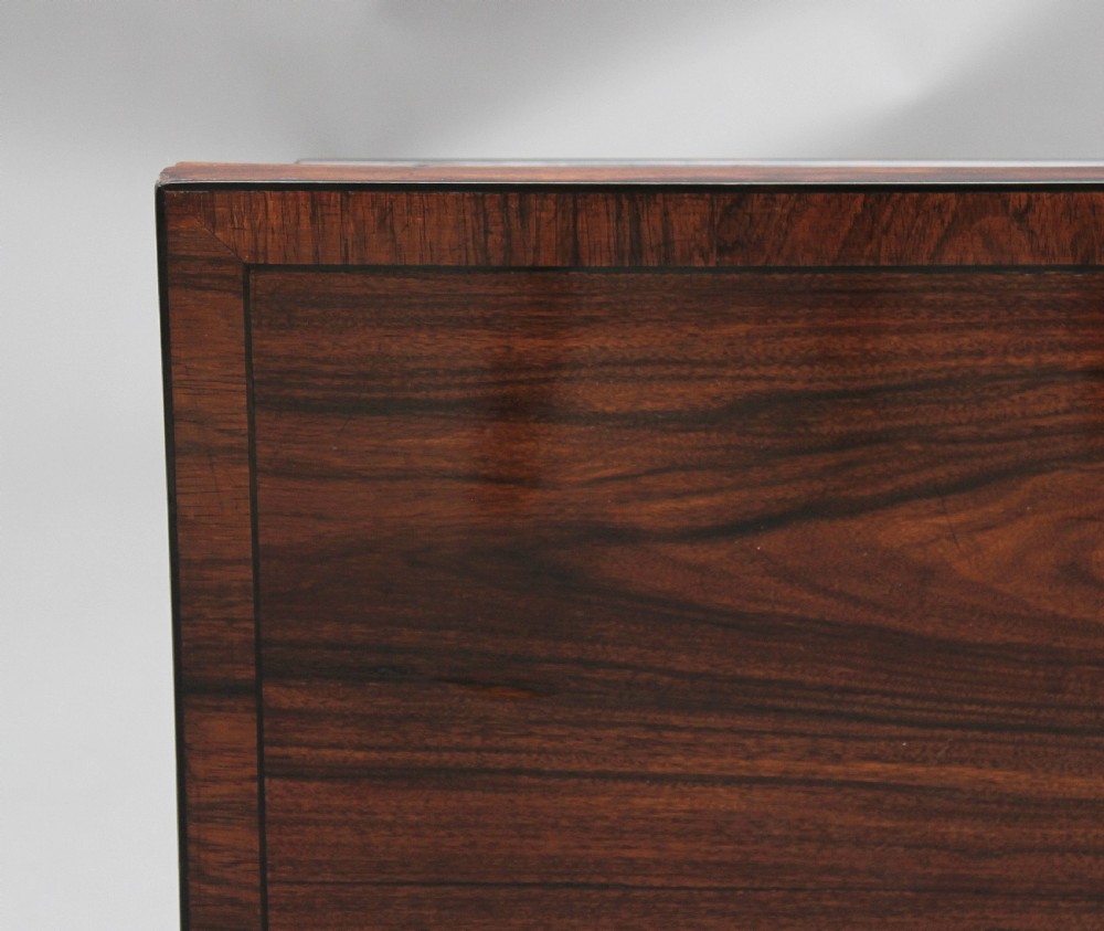 19th Century rosewood side cabinet View VIII