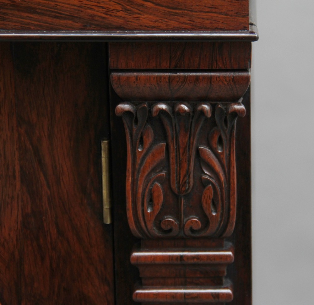 19th Century rosewood side cabinet View XIV