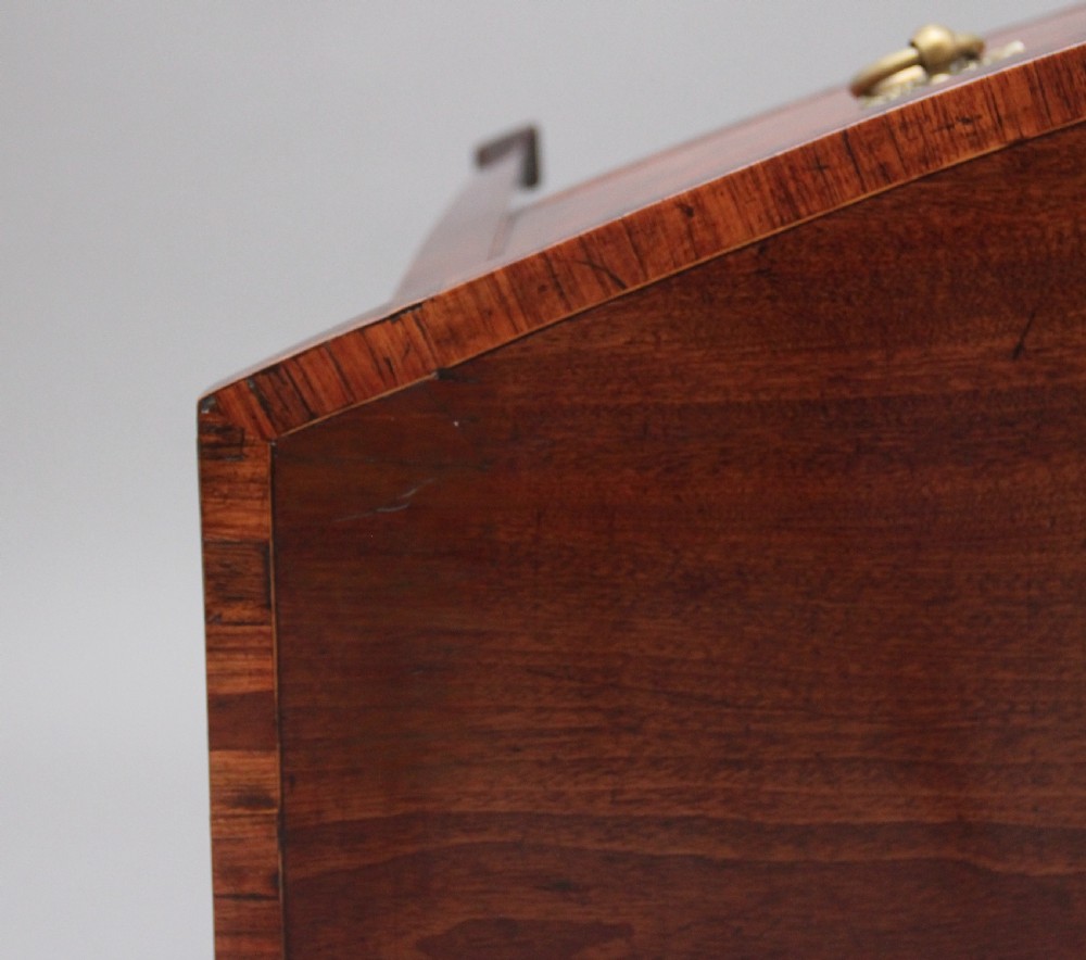 Early 19th Century inlaid mahogany bow front sideboard  View VII