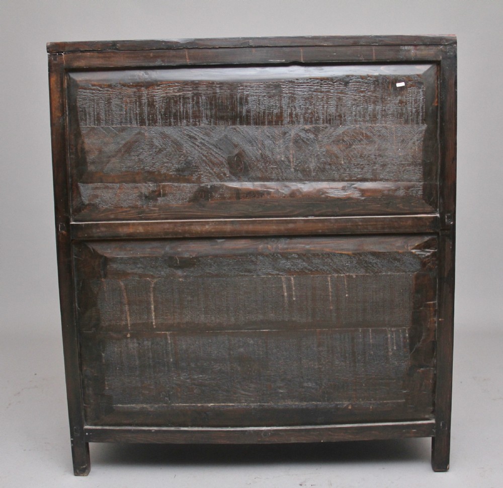 19th Century painted Tibetan side cabinet View VI