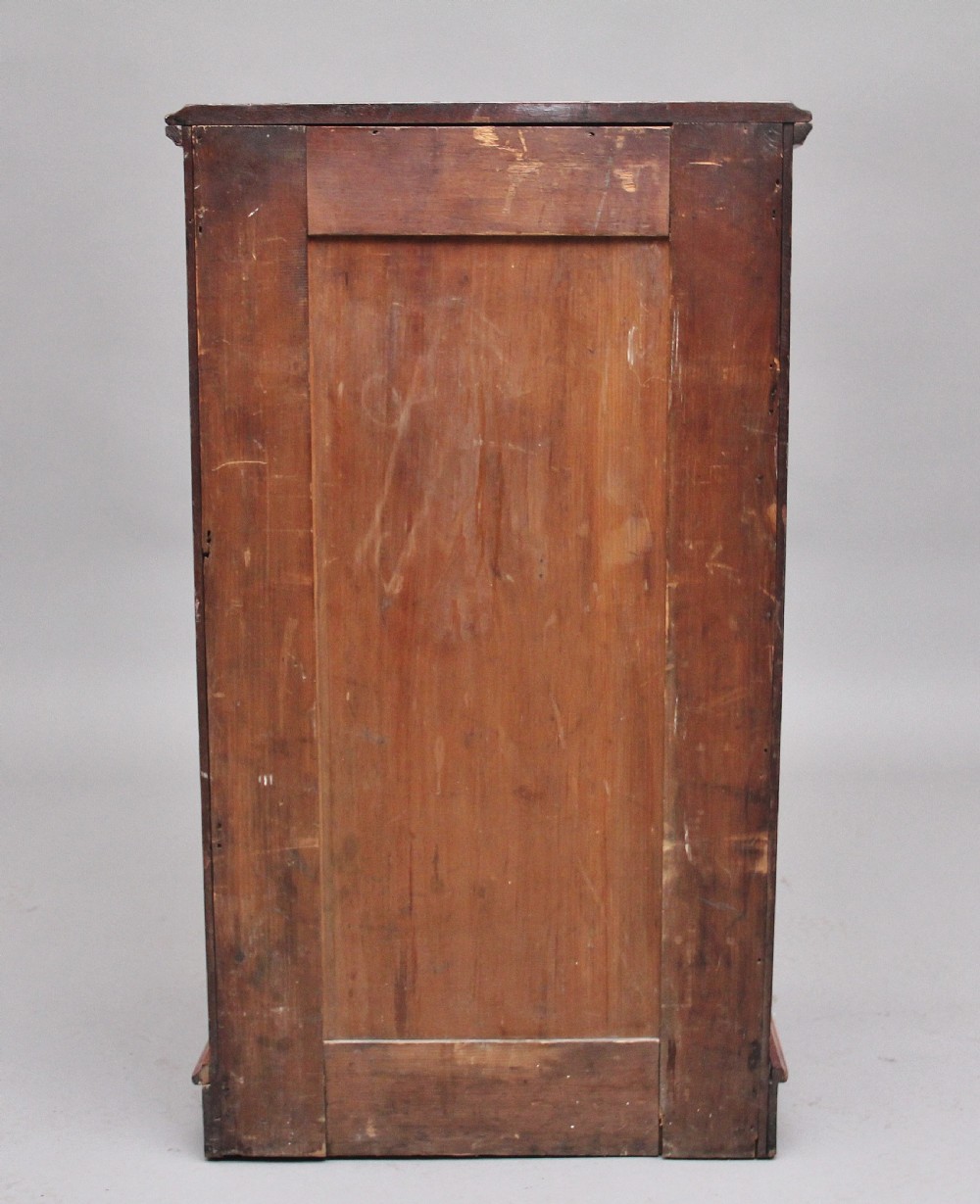 19th Century mahogany collectors cabinet View VII